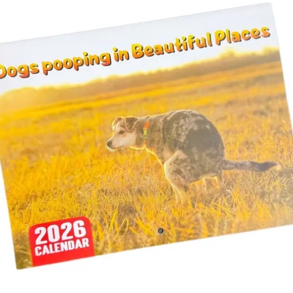 **Buy Now Ready** 2026 Humorous Dogs Pooping in Beautiful Places Wall Calendar - Picture 1 of 5